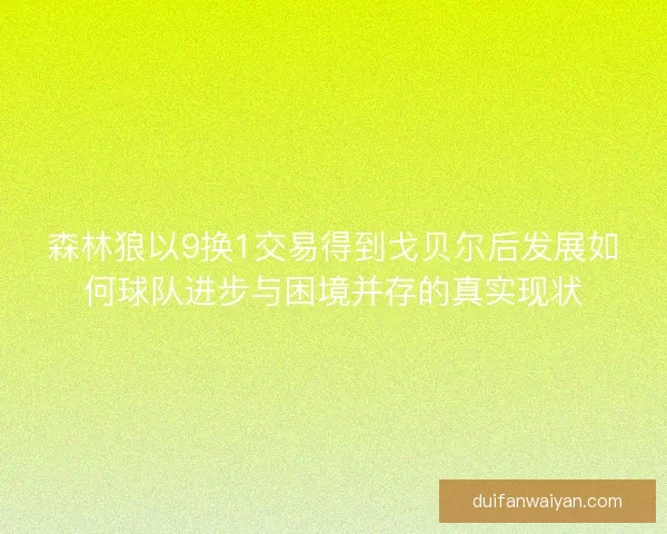 森林狼以9换1交易得到戈贝尔后发展如何球队进步与困境并存的真实现状